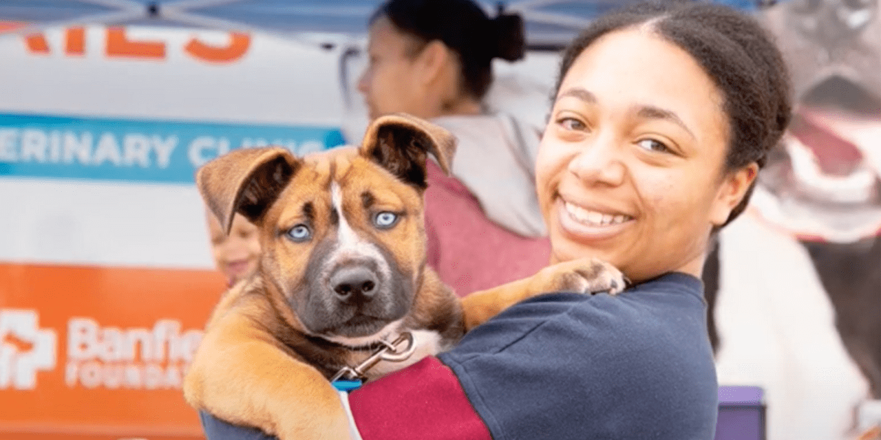 Petco free vet store clinic